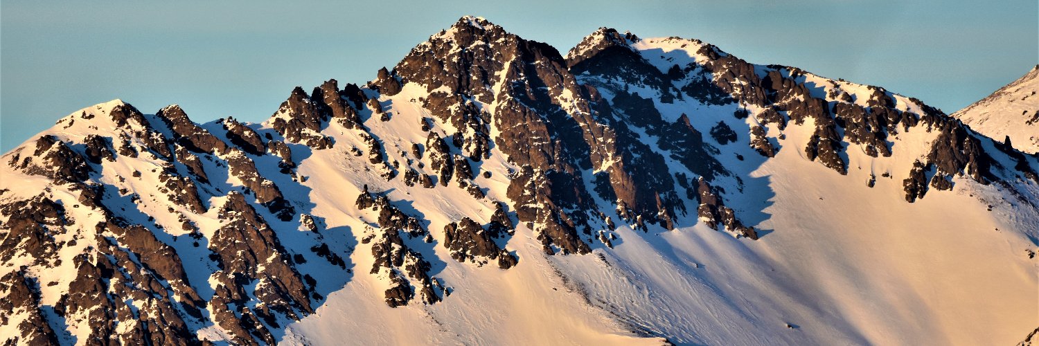 The 49th Option banner