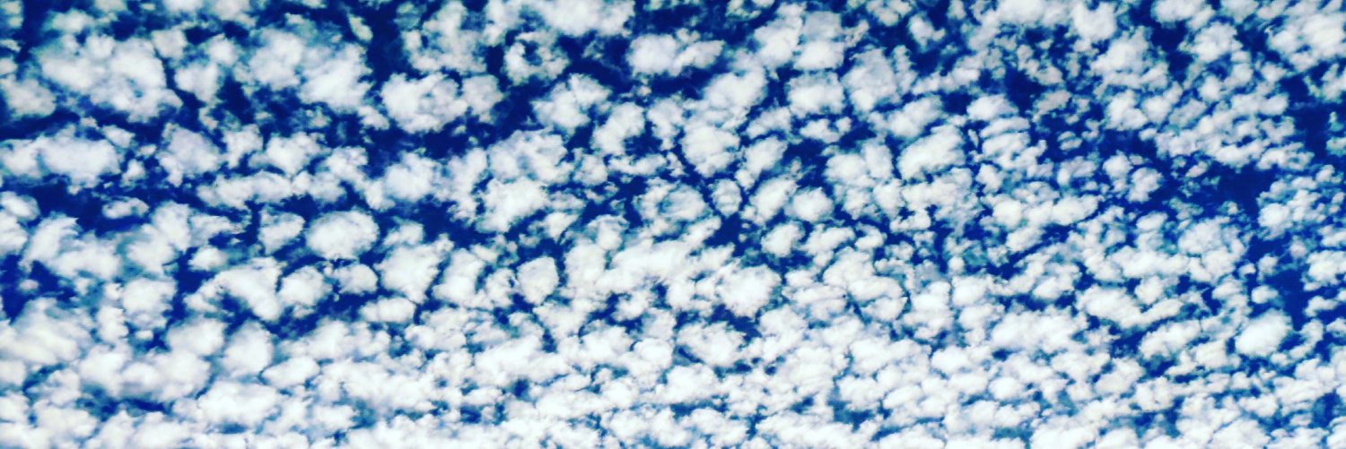 SaniyaScott's profile banner image