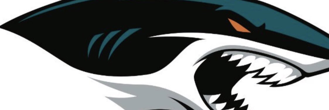 Mackwill Celesmithy banner