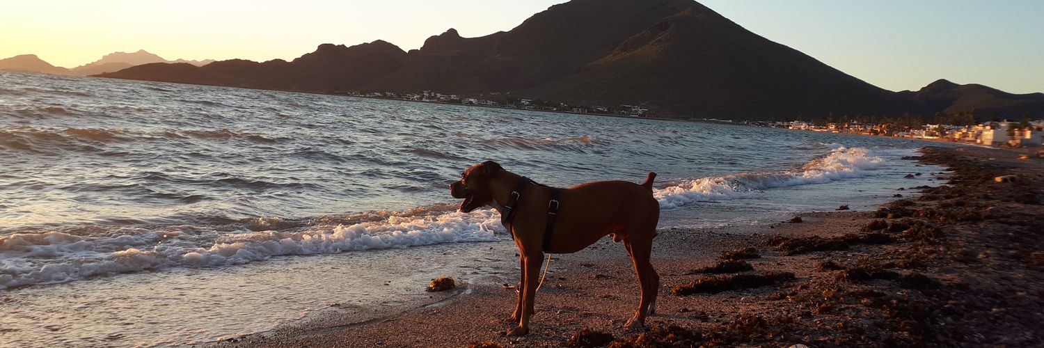 lizzethher's profile banner image