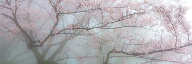 mysecretdiary🤍2 day binge free?ate more but still banner