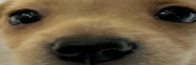 lllll's banner