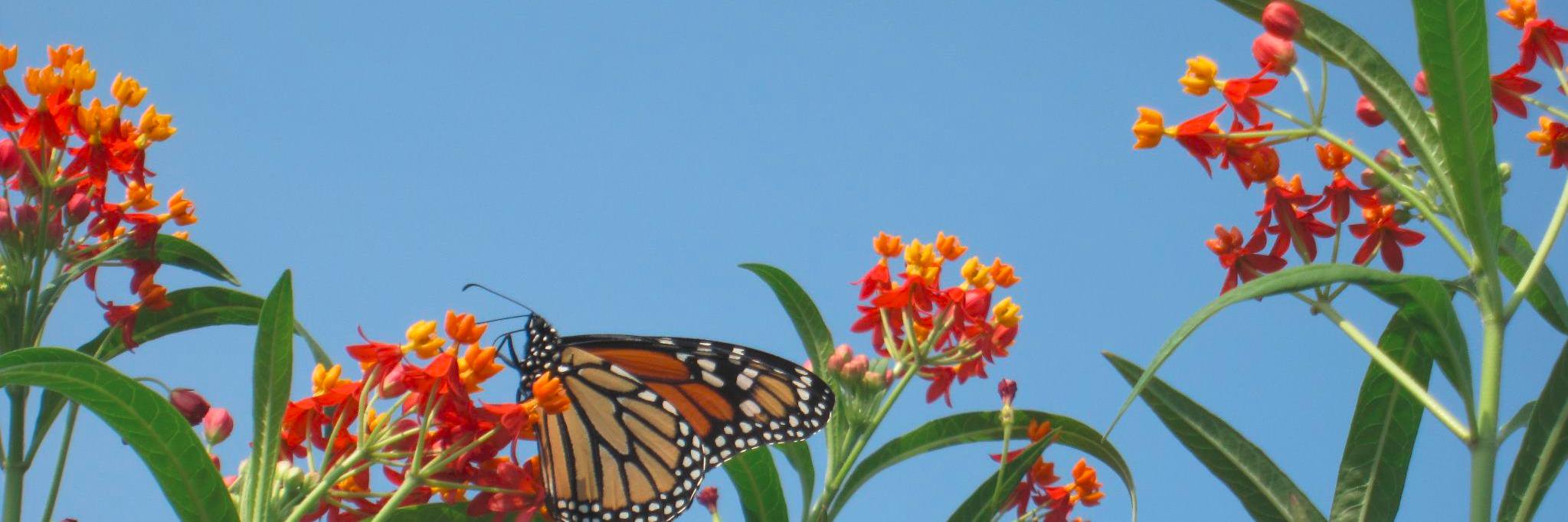 rodferguson's profile banner image