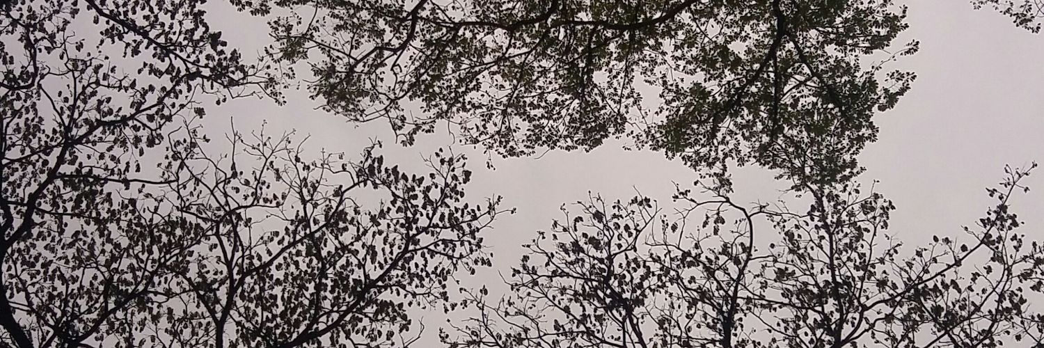 jerapahungu's profile banner image