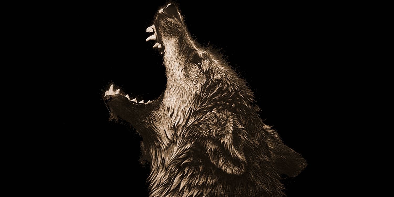 A_Ganga's profile banner image