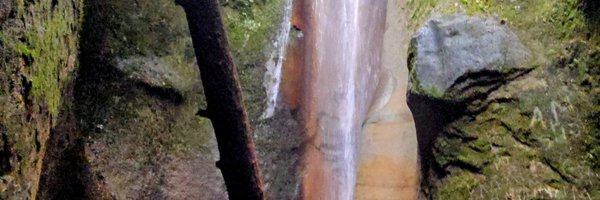 ktlutes Profile Banner