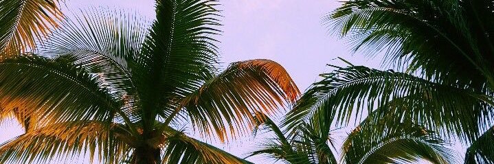 jimeenaS's profile banner image