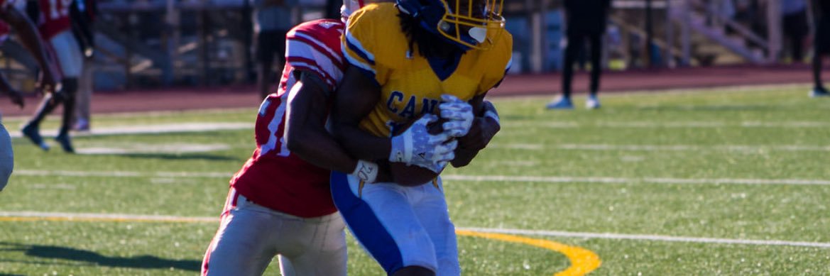 Leland Gardner banner