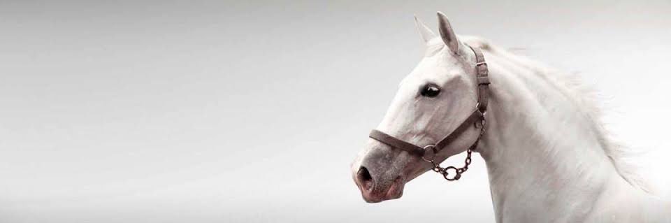 _Fahad3TB's profile banner image