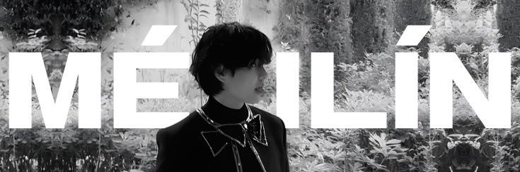 ˖ ֹ ੭୧ 𝙈𝙚𝙞𝙡𝙞𝙣'𝙯 ࣪ — ʚ🐈‍⬛ɞ banner
