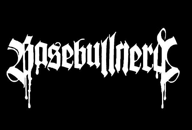 BASEBULLNERD HC banner