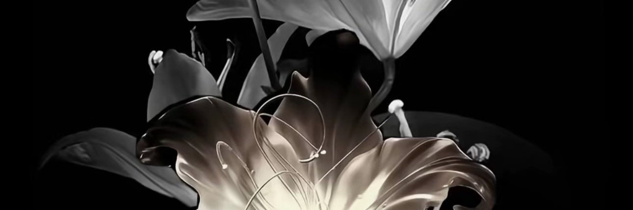 ihycharli's profile banner image