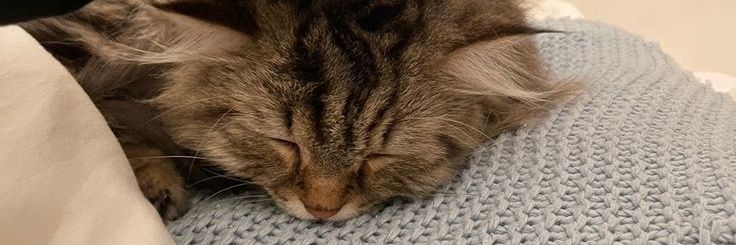 JeakGrop's profile banner image
