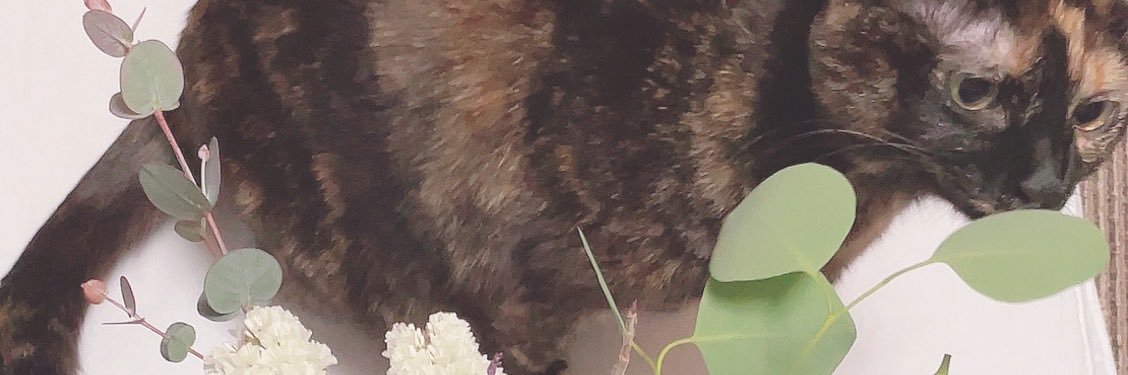 mx329xm's profile banner image