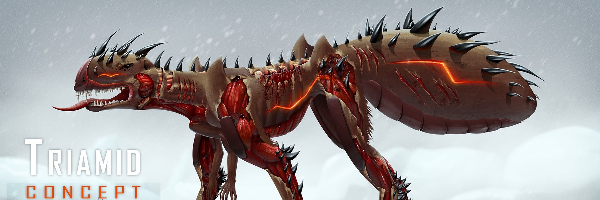 Amph banner