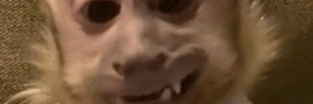 LavinGb's profile banner image