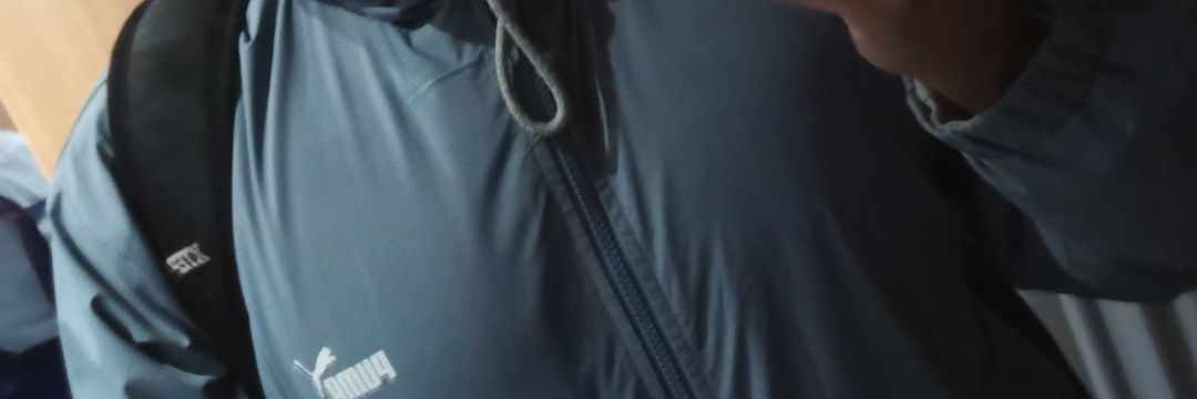 漓子狮（🍐狮 banner