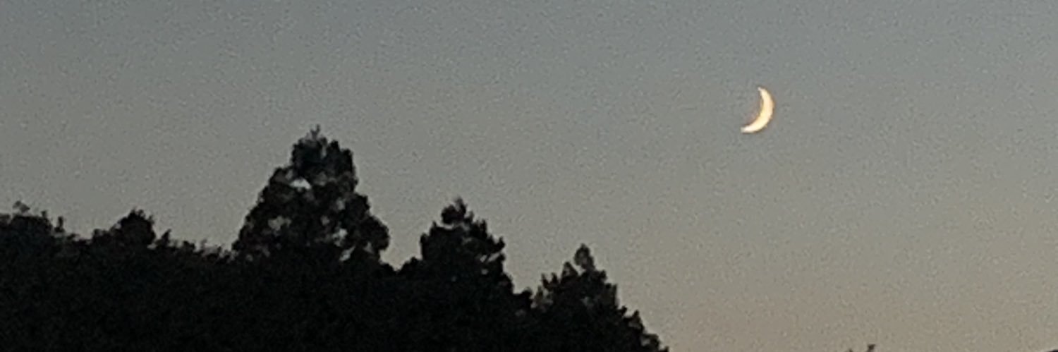 🌙 banner