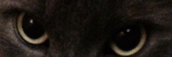 ramxcodes Profile Banner