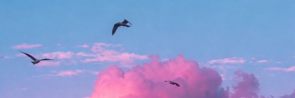 تميم الزهراني banner