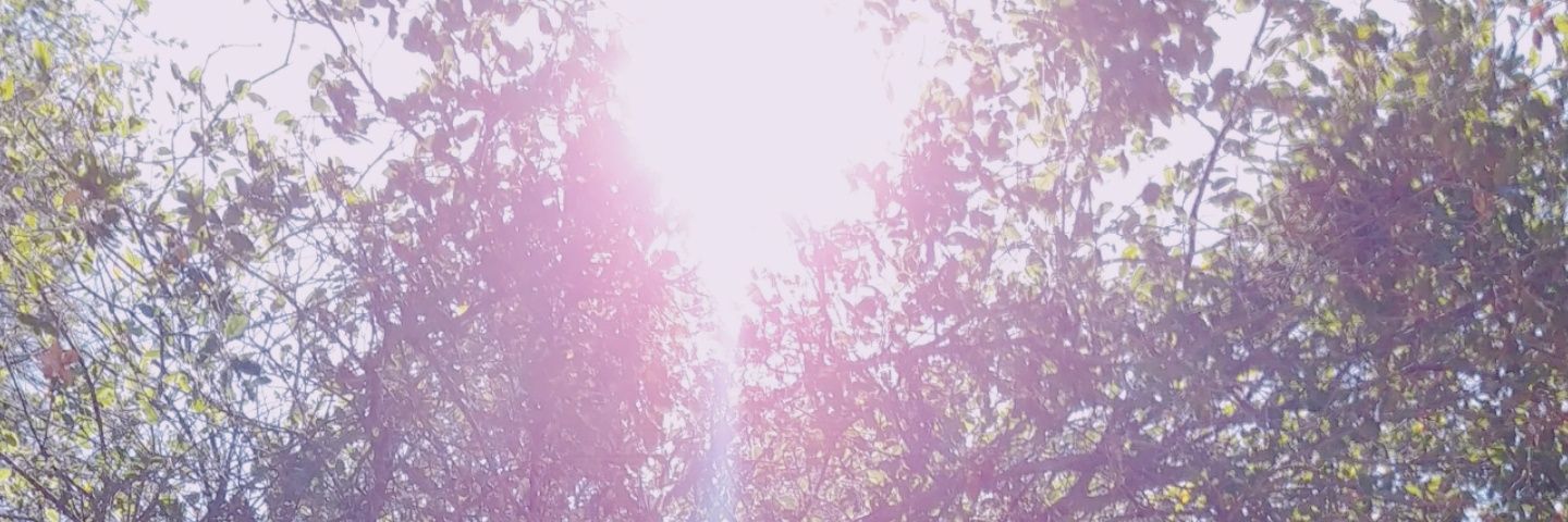 marillblue118's profile banner image