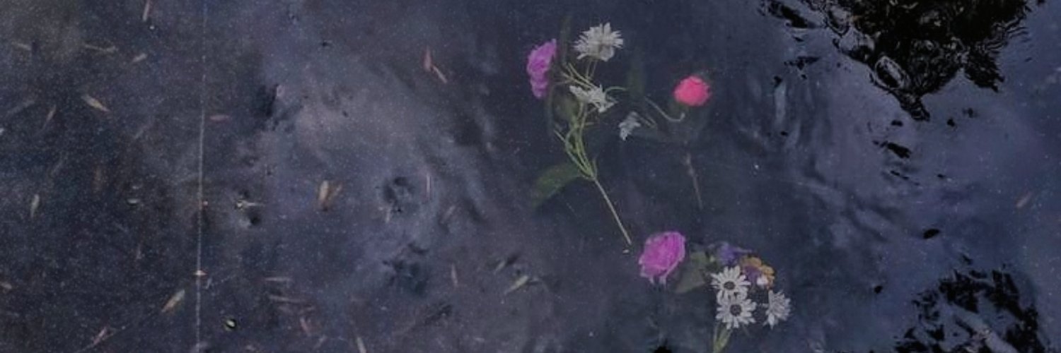 Seriousras's profile banner image