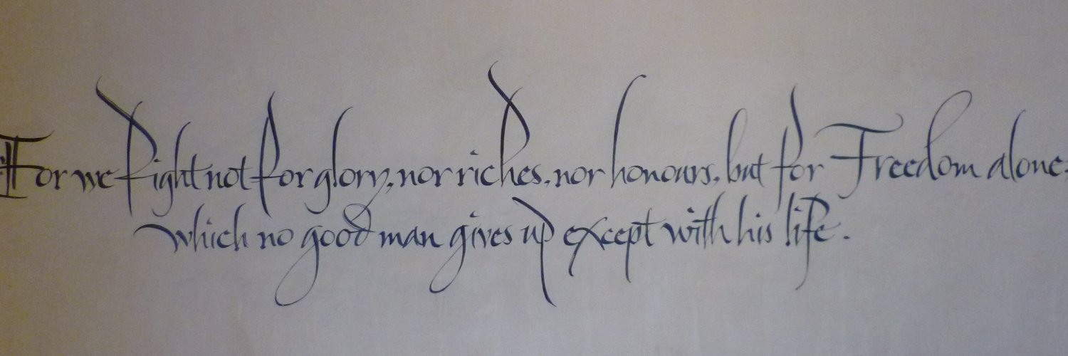 Iron Baws McGinty's banner