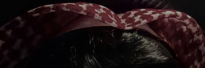 oa0a_'s profile banner image