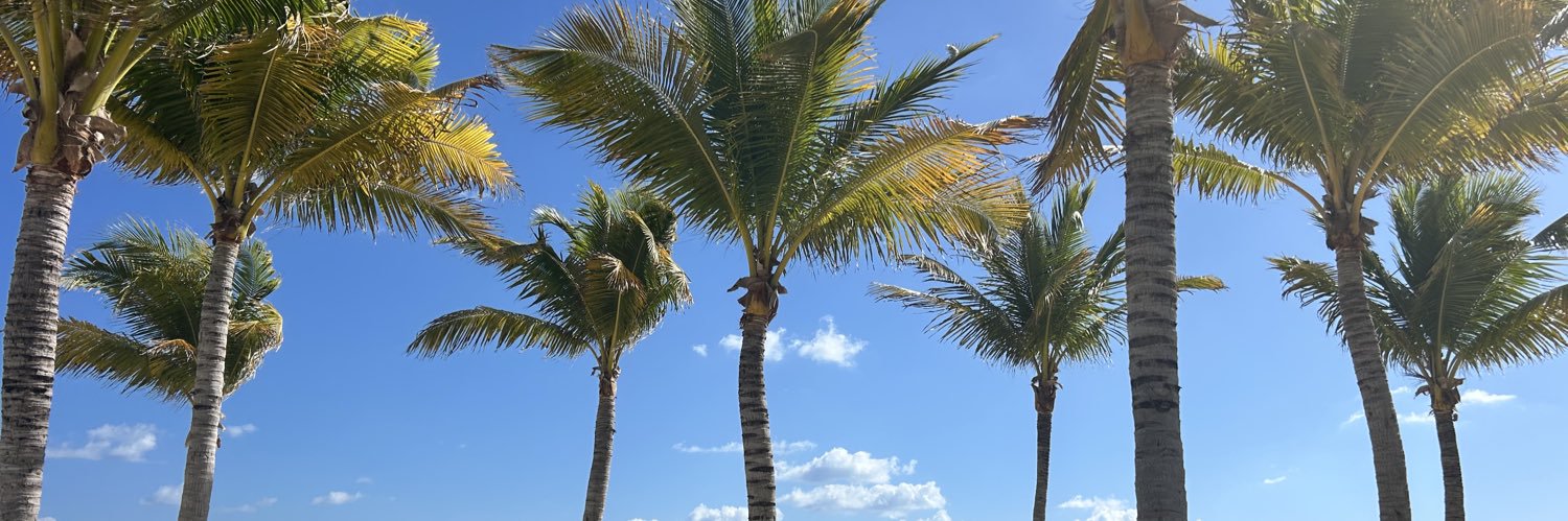 Stay Alert, Stay Alive! banner