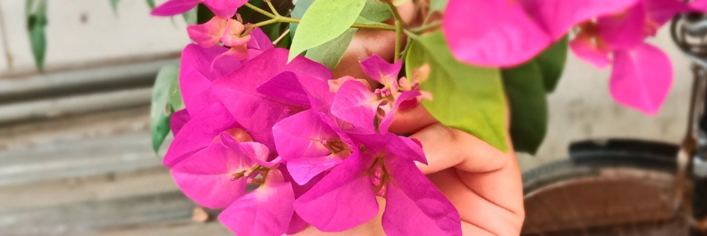 dimpsasija's profile banner image