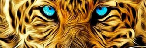 Osunla's profile banner image