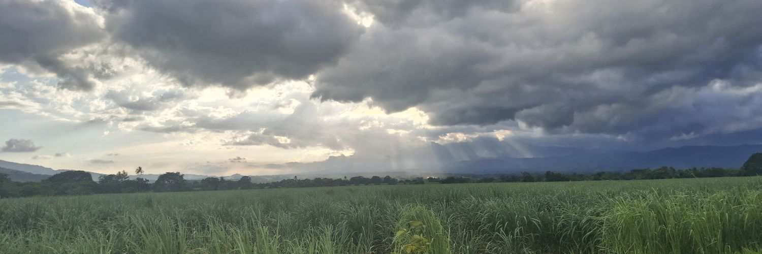 LopAlvz's profile banner image