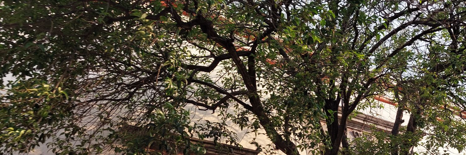 cannito_16's profile banner image