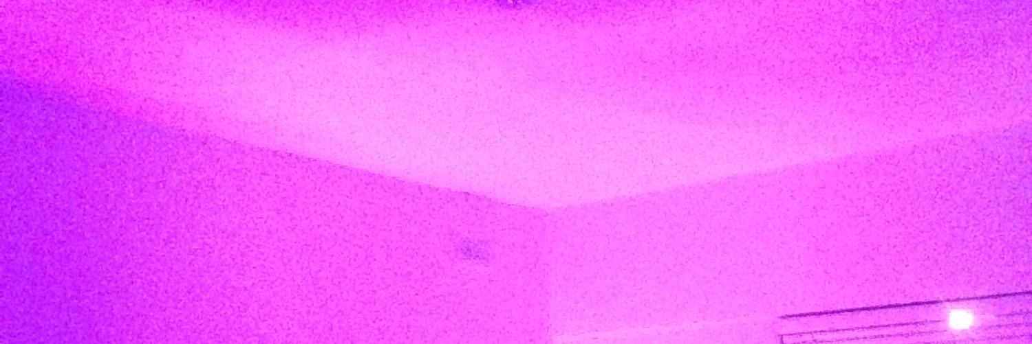 rolandsoreal's profile banner image