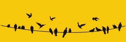 miguelmafa's profile banner image