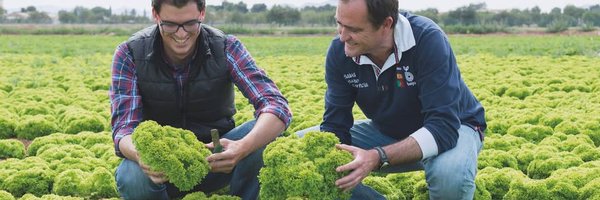 BejoEspana Profile Banner