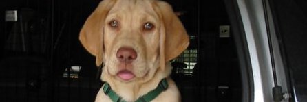 Charles Frankhauser banner