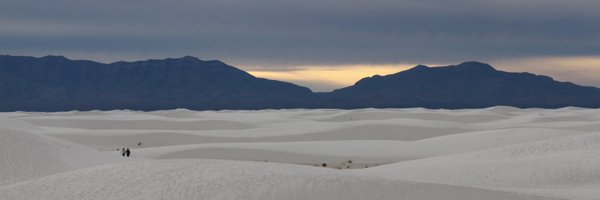 LOST__SHEEP Profile Banner