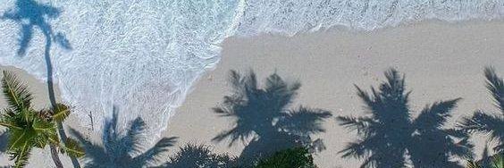 Dinerololo's profile banner image