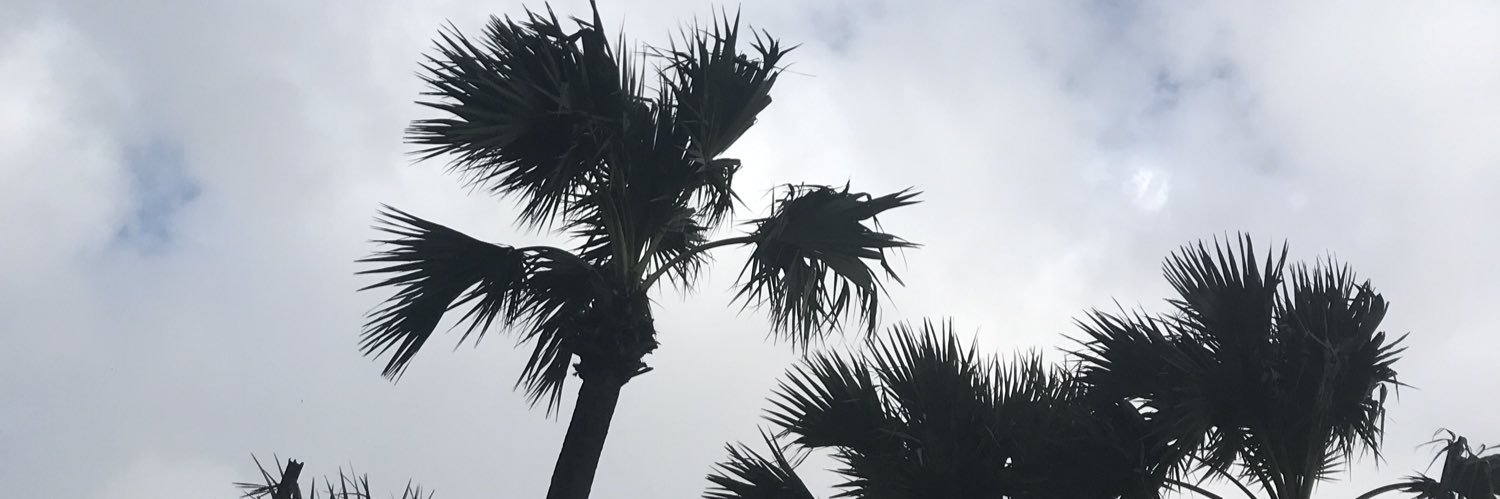 saiefinator's profile banner image