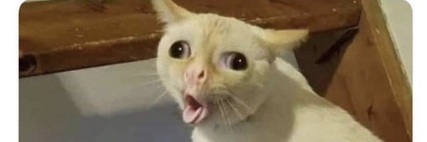 Maddeesun Profile Banner