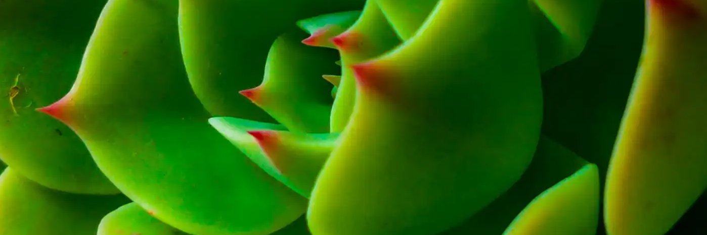 markdeso's profile banner image