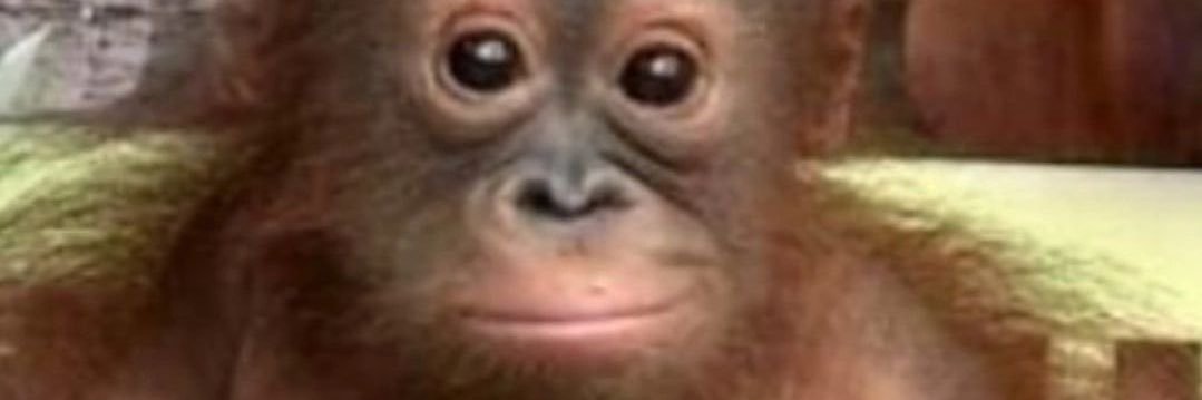 Augtism_'s profile banner image