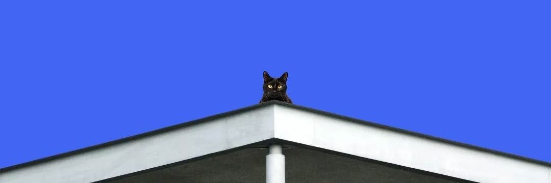 inspringnight banner