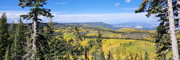 marksbury Profile Banner