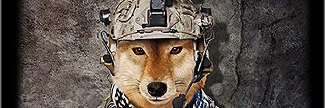 Inu Soldier 🐾🛡 banner