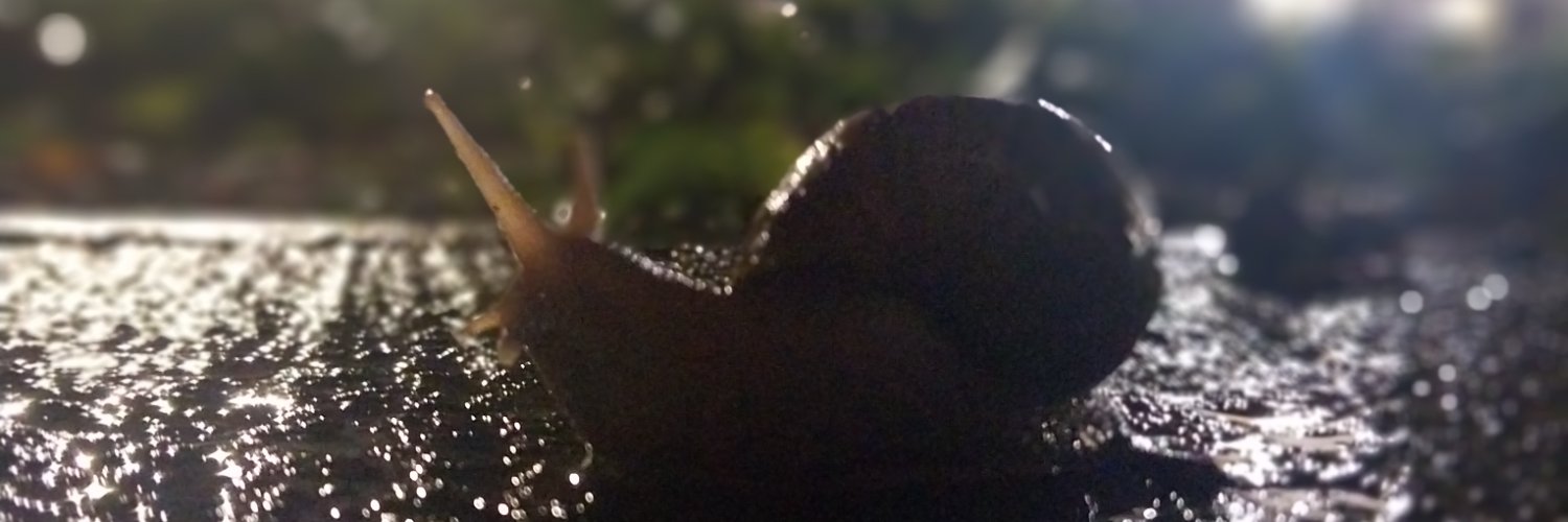 dranked_soap's profile banner image