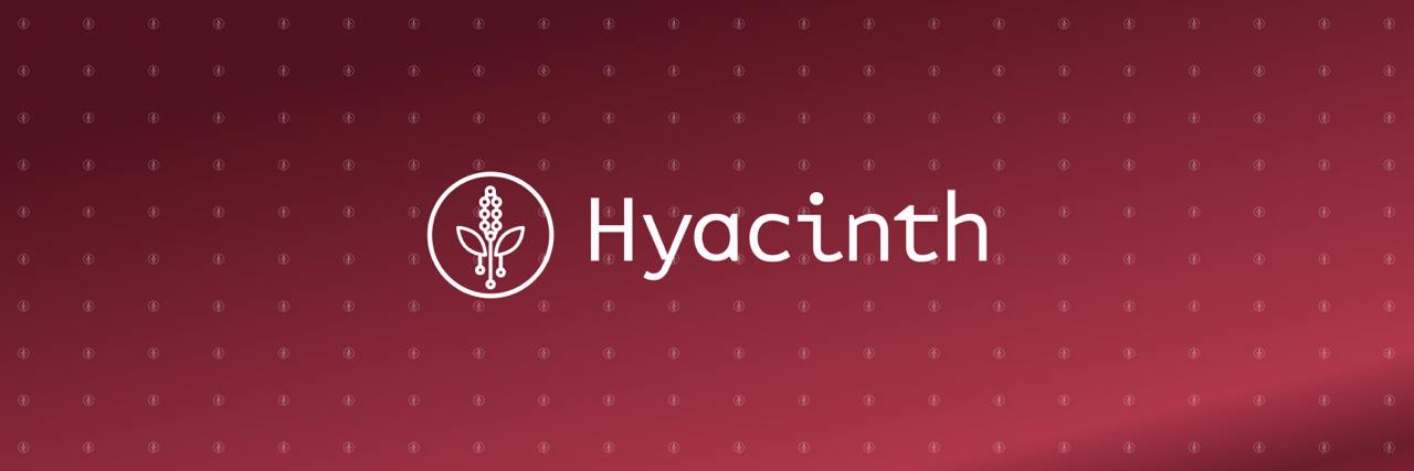 Hyacinth 🪻's banner