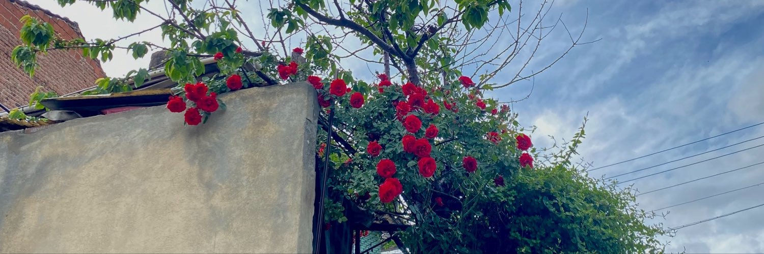 behnaadare's profile banner image