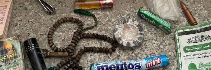 Avicennæ 🇵🇸's banner